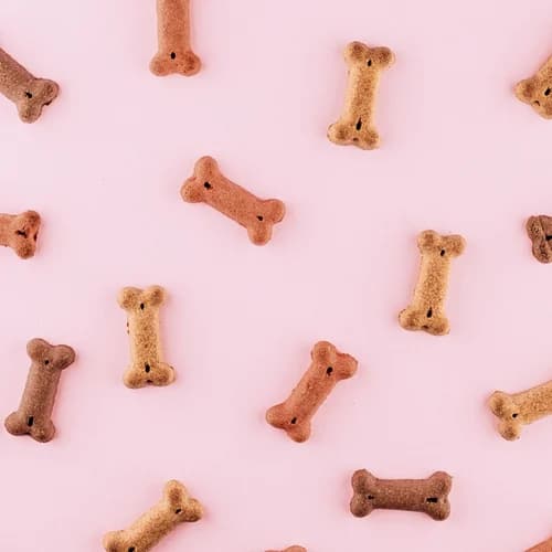 Breed-Specific Formulas