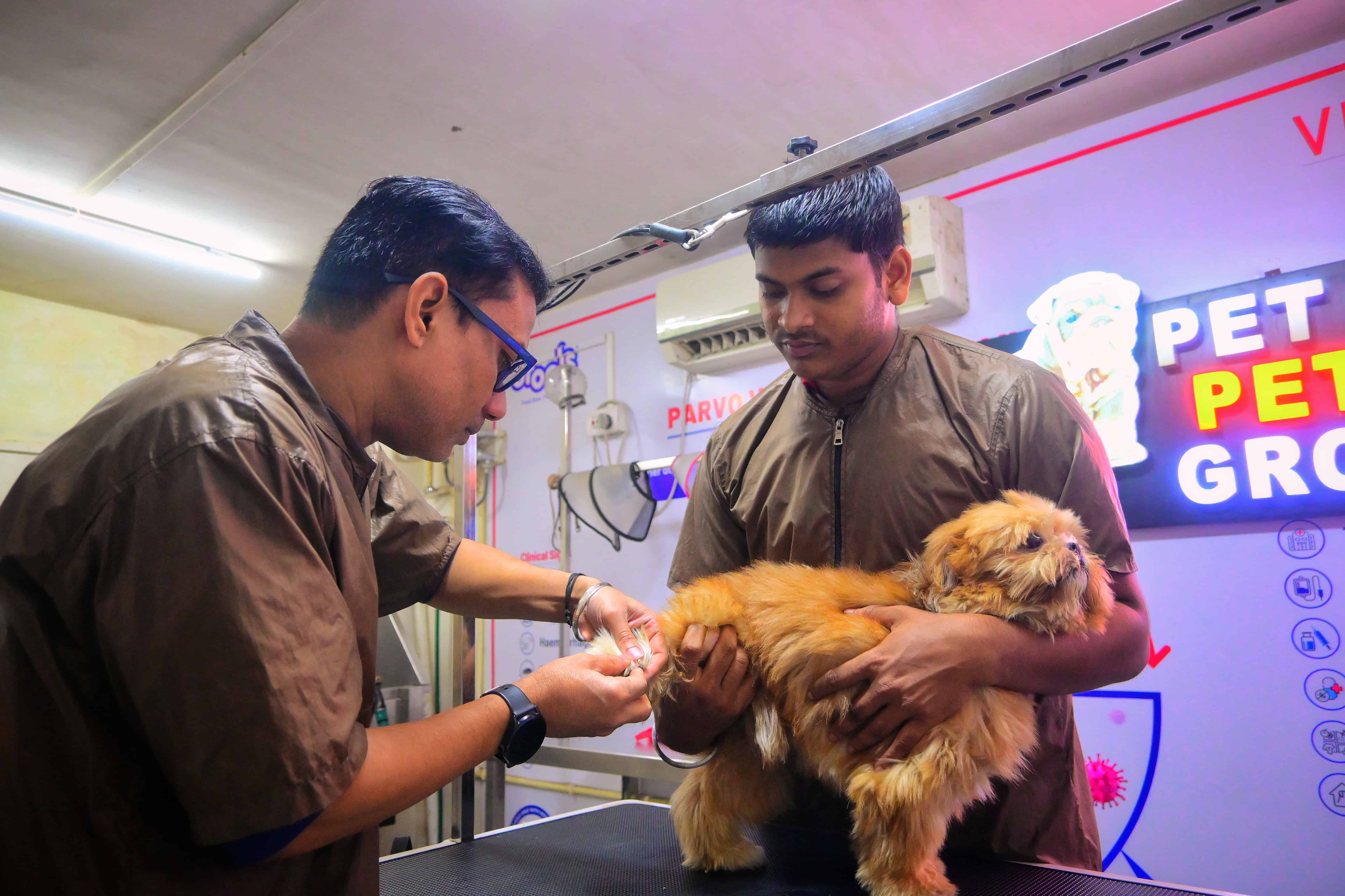 Professional pet groomers team at Pets Need